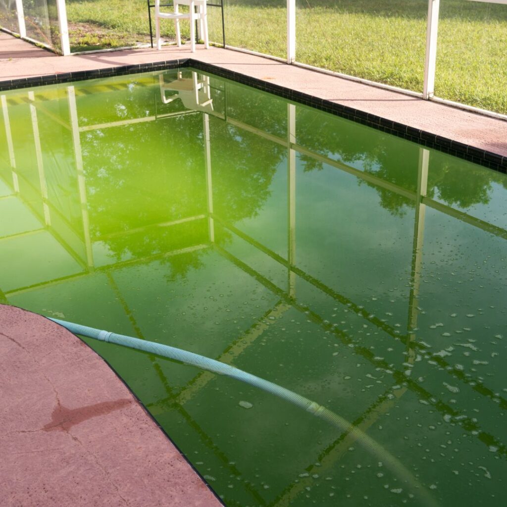 piscina com água verde o que fazer